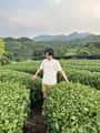 Urgent: Missing Person – Sebastian (Zixing) Zhang, Missing Since 03/11 4