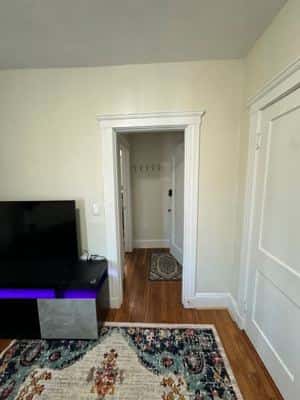 Fully private 1bed apt brookline 4