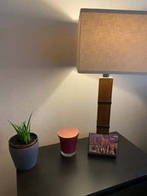 Cozy 1BR Near SJSU & Downtown | Walkable & Safe 6