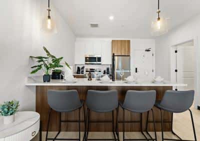 Luxury 1BR near Boston 9715 6