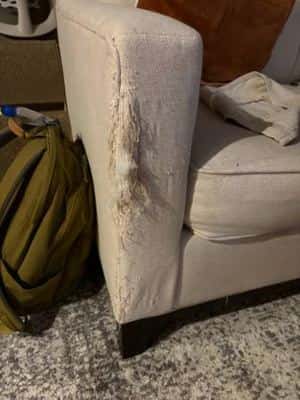 Free couch pickup asap 5