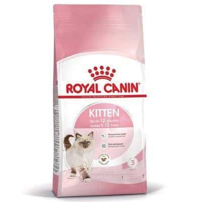 Ragdoll kitten food 1