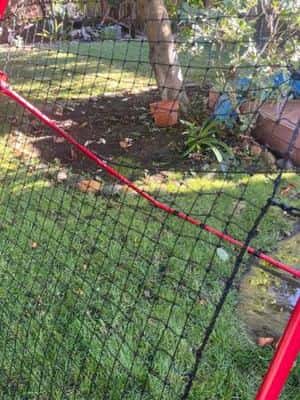 Rukket rebound/pitch back net 4