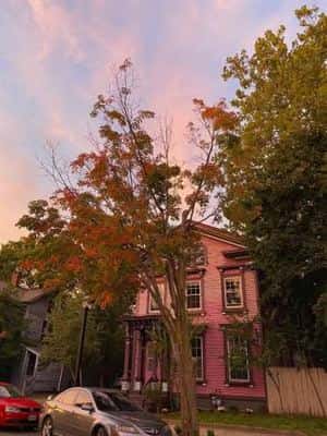🌟Charming Victorian Dream Home 🌟 8