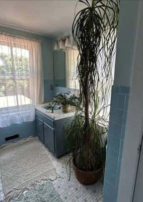 $600 1BR in Charming House (New Haven) 6