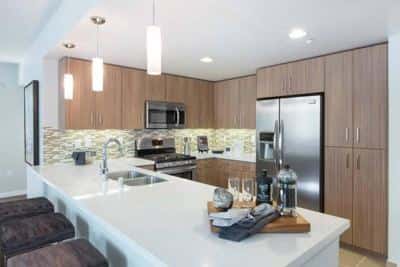 Above and Beyond 2 BR/2 BA-Pet Park & Rooftop Perks! 4