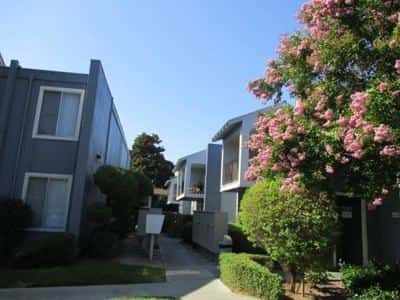 Bright & Beautiful One Bedroom Available! Utilities Included! 6