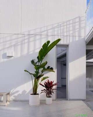 Furnished Co-Living Near UCLA ^ Stainless Steel Appliances ^ Balcony 5