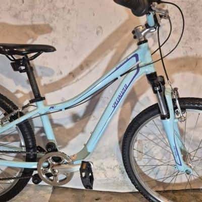 Specialized Hotrock Bike 24 inch wheels 3