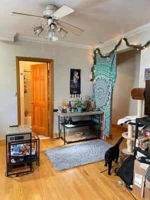 No fee 950/1br-1200ft-BU, BC,no fee-5 min walk to 57, 66, 86, 501 bus stops, nea 5