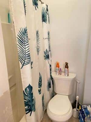 950/1br-1200ft-BU, BC,no fee-5 min walk to 57, 66, 86, 501 bus stops, near green 4
