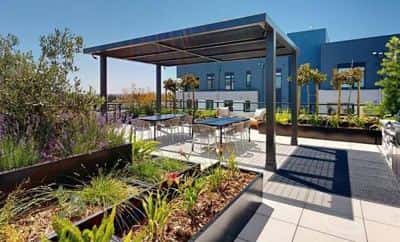 Unbeatable Location! Luxury 1 BR, First Month Specials Available 4