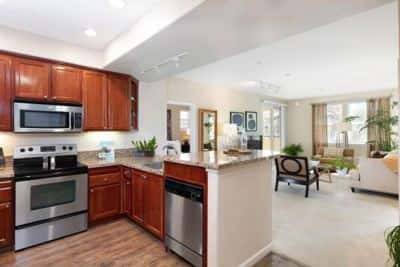 TMLP 13-mo. | Exclusive 1 BR-Fireplace, Balcony & Resort-Inspired Amenities 1