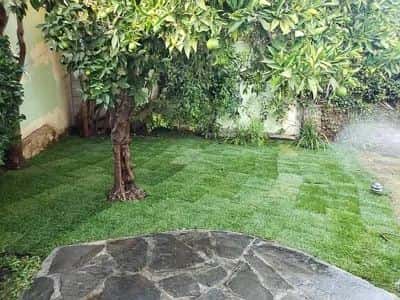 Beautifully updated and renovated 3 equally-sized bedroom Reinier Park 4