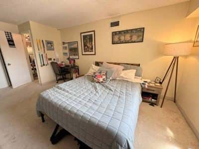 Large & Sunny 1Bed w/Balcony, Central AC, Parking, Rooftop Pool & Gym 8