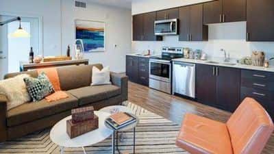 Pet-Friendly 1 Bed Apartments with Rooftop Views 8