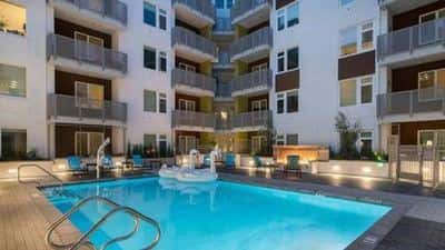 Pet-Friendly 1 Bed Apartments with Rooftop Views 7