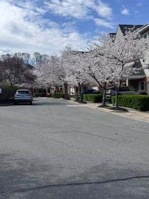 Spacious 3 Bed, 2.5 Bath Townhouse – Ideal for Students & Professors | 2