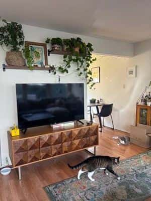 6-Week Sublet for sunny 2BR Los Feliz Apartment 3
