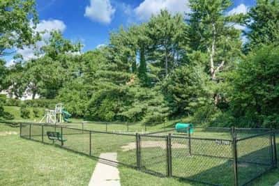 Fitness Center, Large Closets, On-Site Maintenance 4