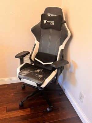 Secretlab Gaming Chair 1