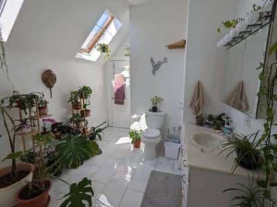 $1000 Room Available- Near Porter Square- Large Quiet Shared Apt 6