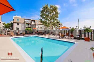 Efficiency in Mar Vista/Westside | Spa/Hot Tub | Sauna | Gym 8
