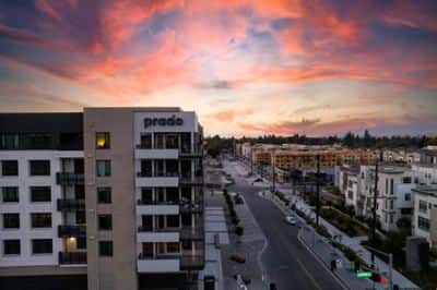 TMLP 12-mo. | Don't Miss Out! Modern Living Awaits 5