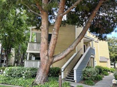 No Stairs!!! Wood Laminate Floors!!! Spacious Cedar!!!! 4
