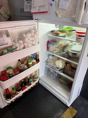 Free working kenmore fridge 2