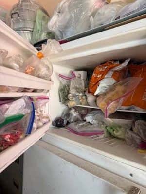Free working kenmore fridge 3