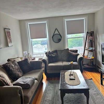 Living Room Furniture 1