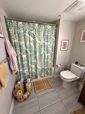 1 Bed 1 Bath Apartment 1