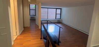1 BR for rent — 816 N Dearborn St, Chicago 6