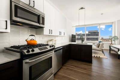 Studio for rent — 765 W Adams St, Chicago 5
