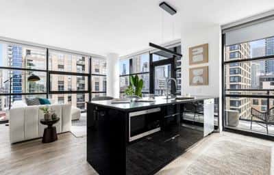 1 BR for rent — 741 N Wells St, Chicago 5