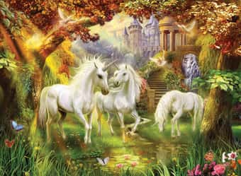 I want to be your unicorn 1