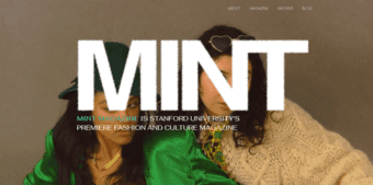 Do YOUUUUU need a really cool responsive website? 2