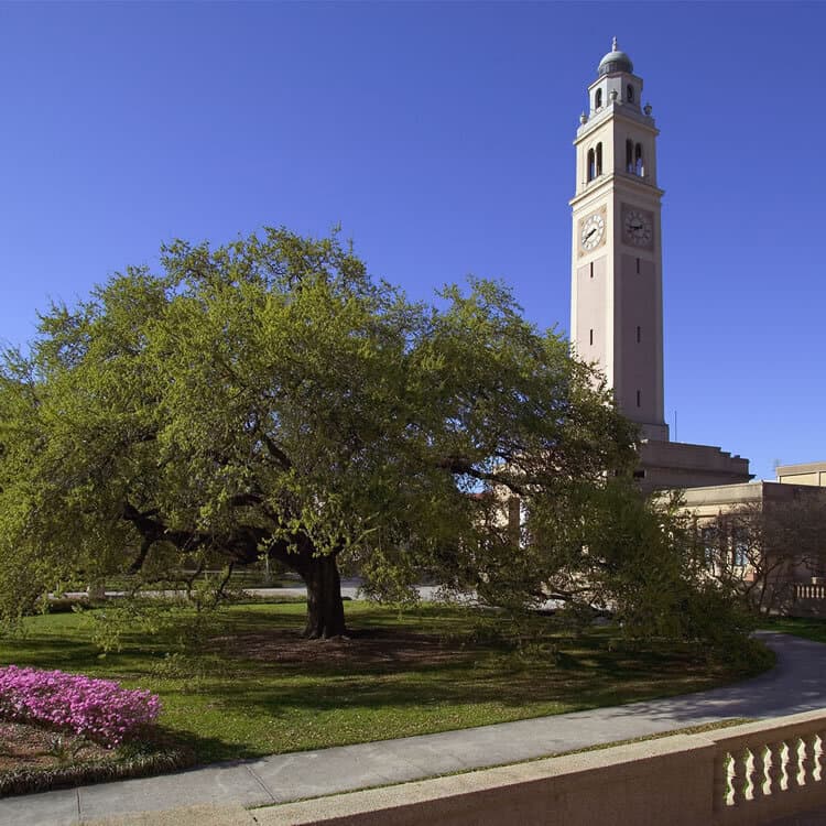 Final Examinations End - Fall 2025