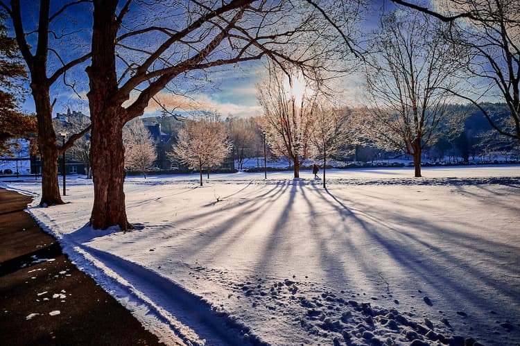  Colgate Club of New York CityMeals on Wheels Service Event