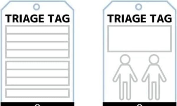 Triage Workshop + ELECTIONS