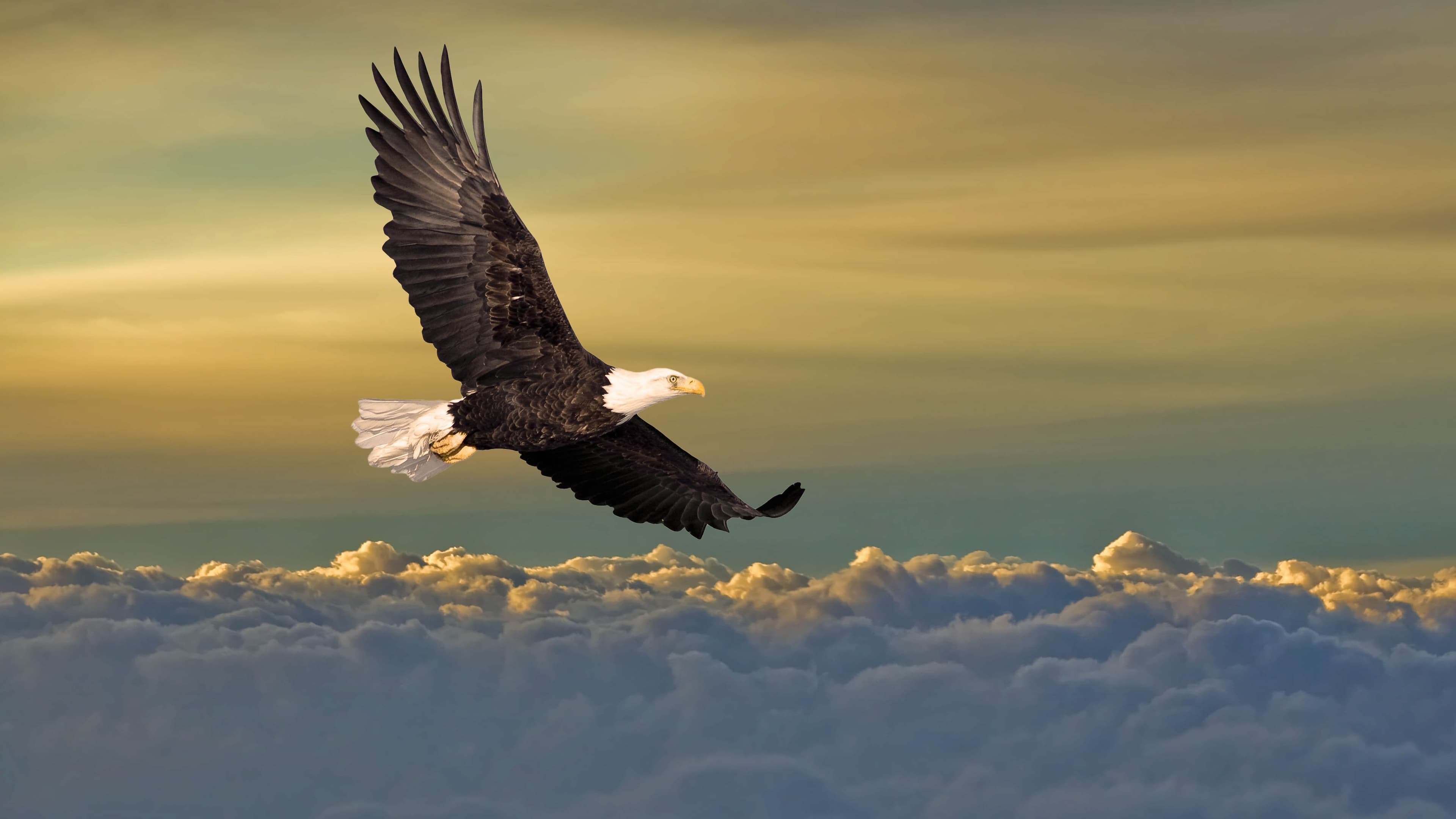 Understanding Your Dream Dictionary & Symbols Online Workshop