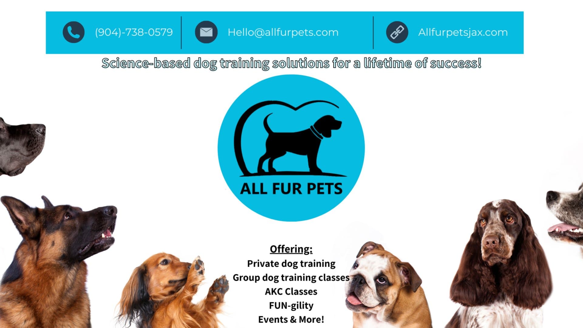 Puppy Pre-School Group Dog Training Classes