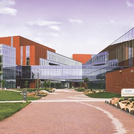 DMUPrep: Group Advising On Campus