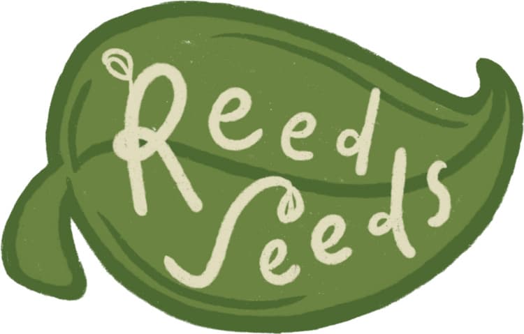 Finals Szn Study Session with RCP