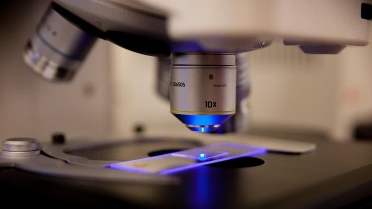 Dissertation Defense - Anna Cole 