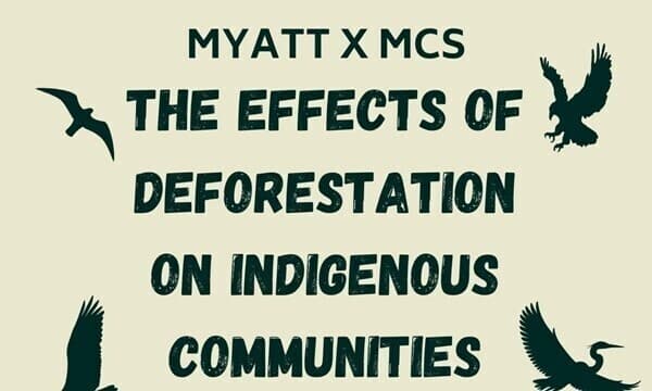 Effects of Deforestation on Indigenous communities