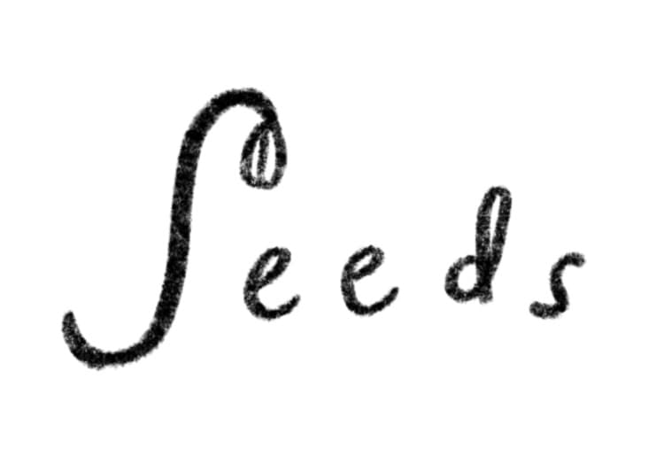 SEEDS Volunteer Program Tabling