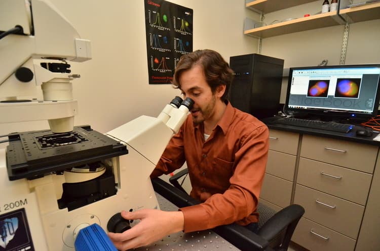 Lynn Hassman, PhD | IMMU/MICB PhD Prospective Faculty Seminar