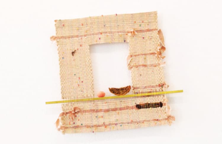 First Generation Weaver: Visiting Artist Lecture with kg